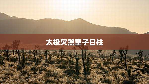 太极灾煞童子日柱