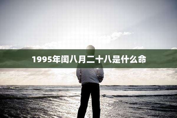 1995年闰八月二十八是什么命