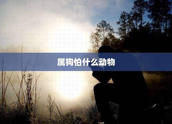 属狗怕什么动物