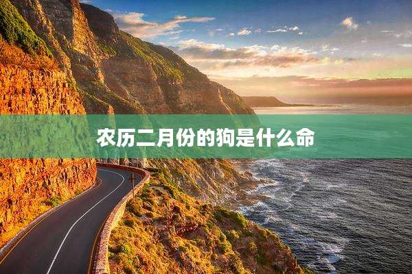 农历二月份的狗是什么命