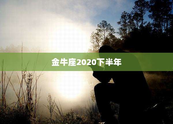 金牛座2020下半年