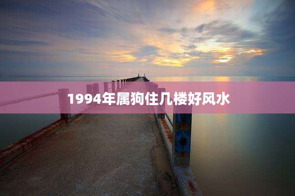 1994年属狗住几楼好风水