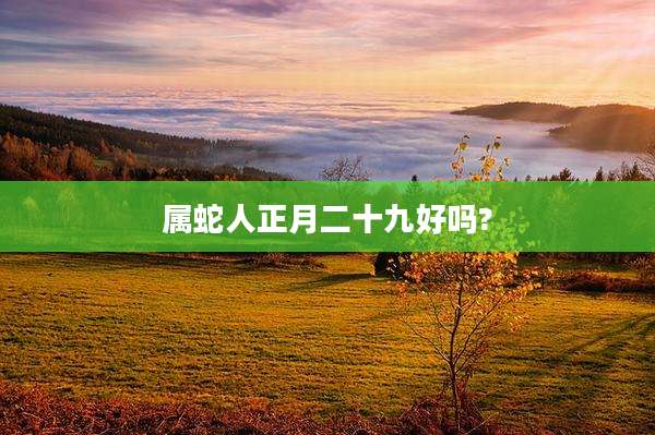 属蛇人正月二十九好吗?