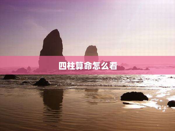 四柱算命怎么看