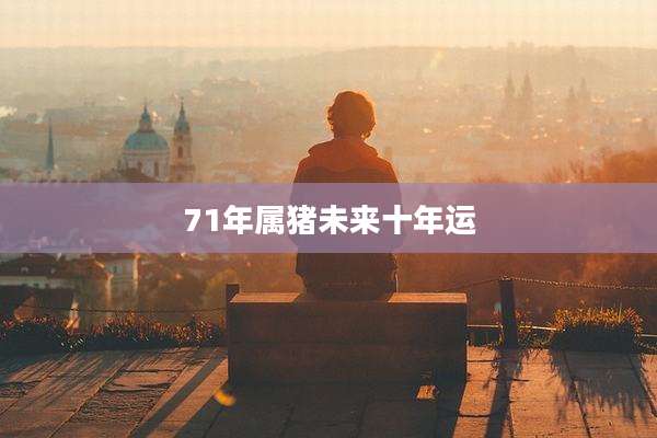 71年属猪未来十年运