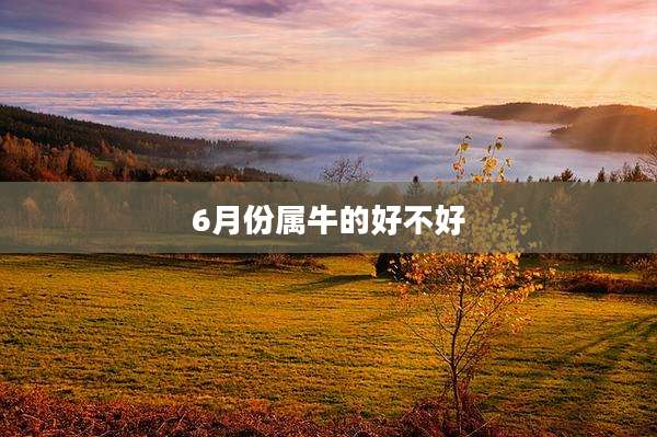 6月份属牛的好不好