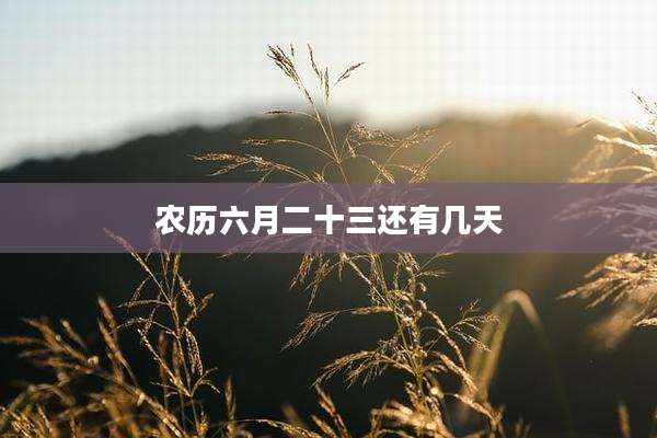 农历六月二十三还有几天