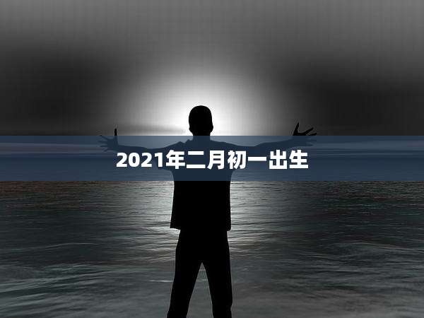 2021年二月初一出生