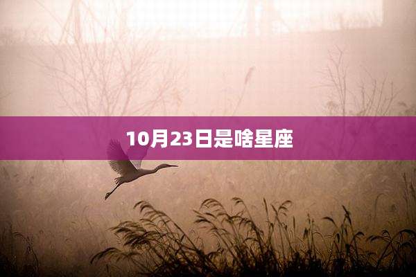 10月23日是啥星座