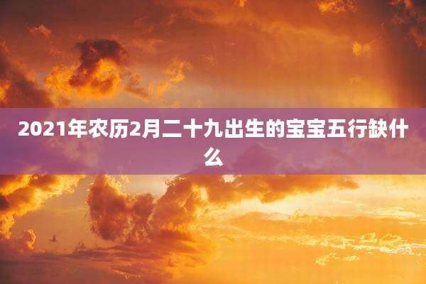2021年农历2月二十九出生的宝宝五行缺什么
