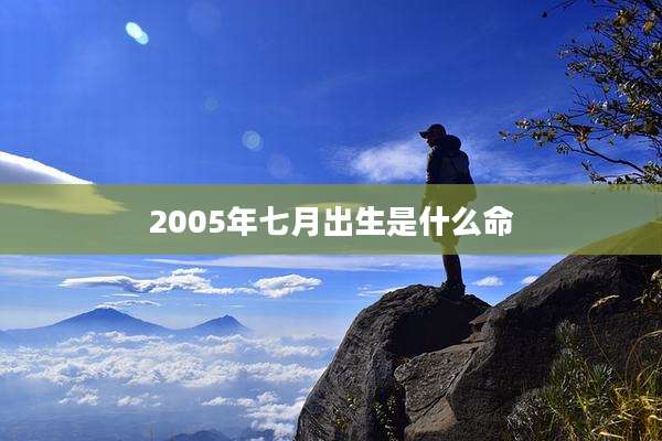 2005年七月出生是什么命