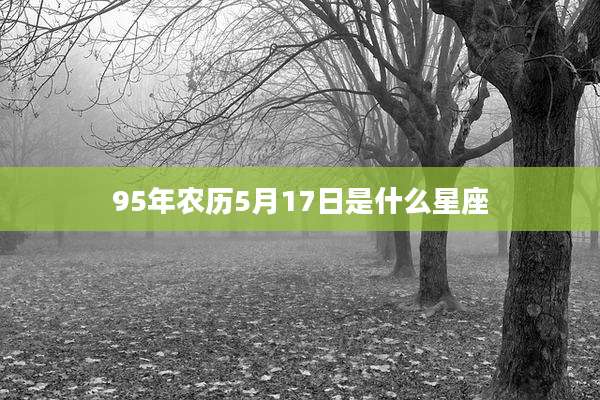 95年农历5月17日是什么星座