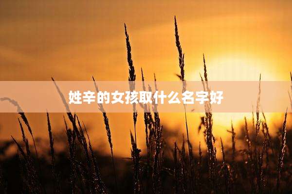 姓辛的女孩取什么名字好