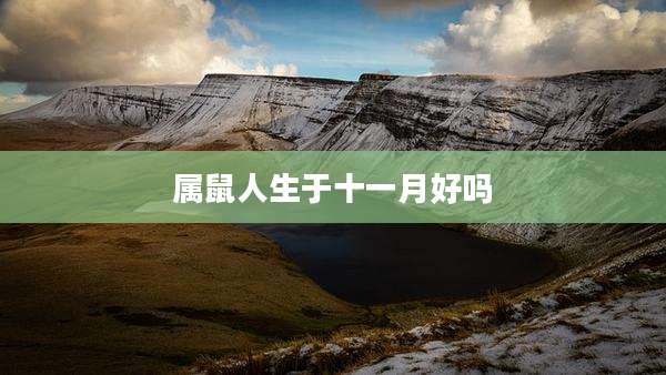 属鼠人生于十一月好吗
