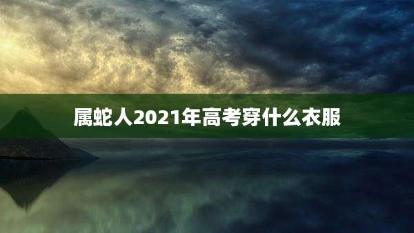 属蛇人2021年高考穿什么衣服