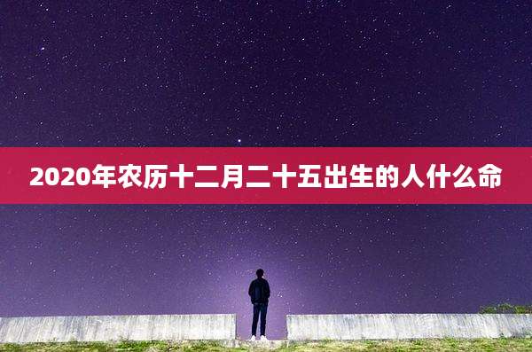 2020年农历十二月二十五出生的人什么命