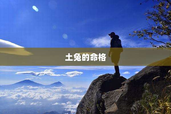 土兔的命格