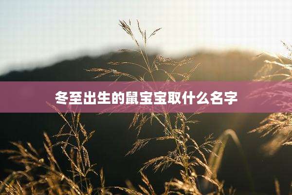 冬至出生的鼠宝宝取什么名字