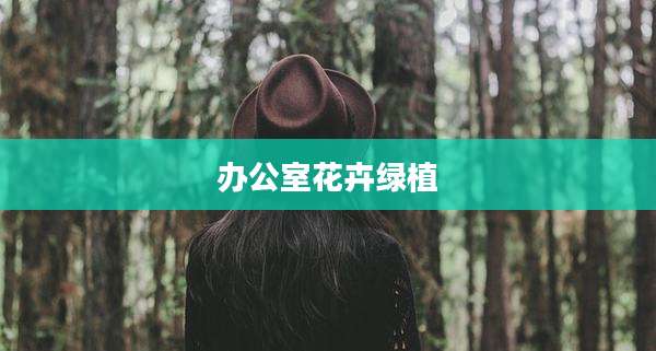 办公室花卉绿植
