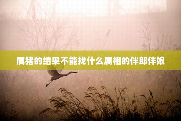 属猪的结果不能找什么属相的伴郎伴娘