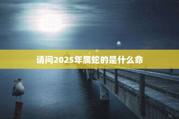 请问2025年属蛇的是什么命