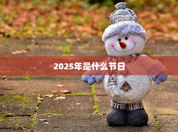 2025年是什么节日