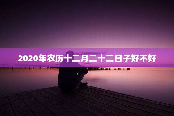 2020年农历十二月二十二日子好不好