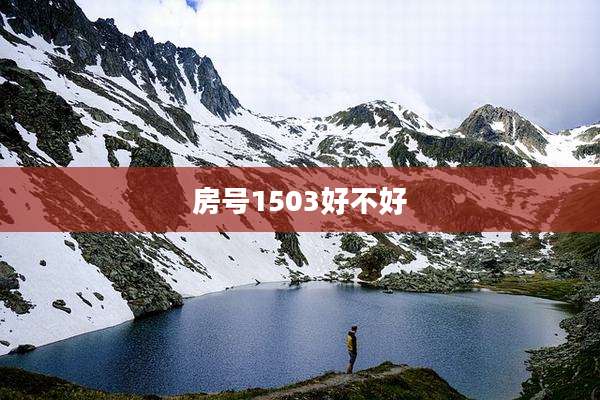 房号1503好不好