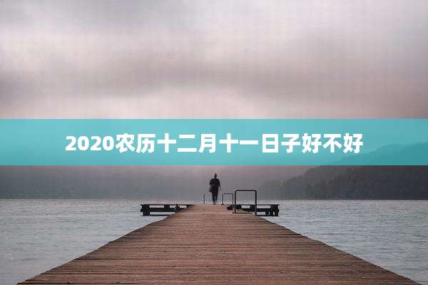 2020农历十二月十一日子好不好