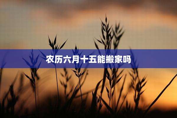 农历六月十五能搬家吗