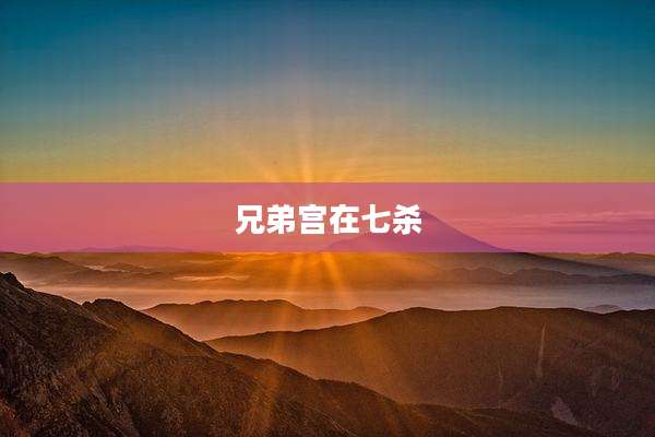兄弟宫在七杀