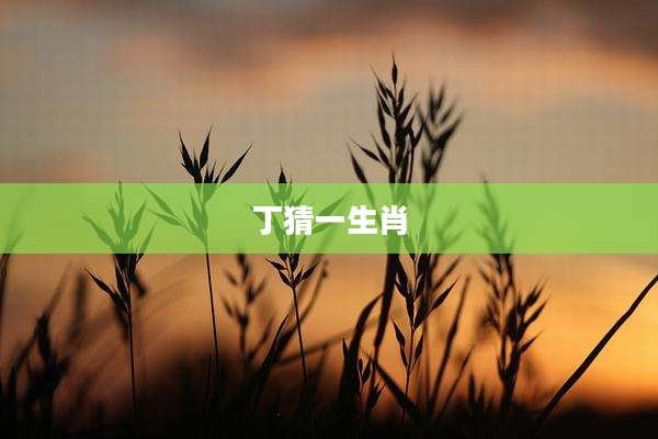 丁猜一生肖