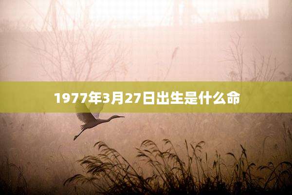 1977年3月27日出生是什么命
