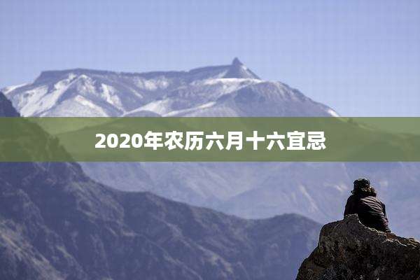 2020年农历六月十六宜忌