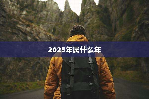 2025年属什么年