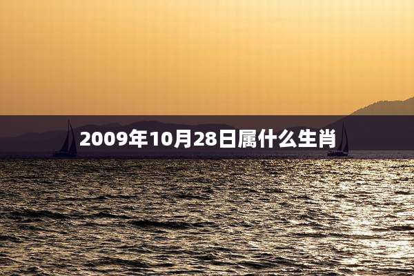 2009年10月28日属什么生肖