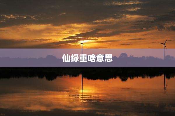 仙缘重啥意思