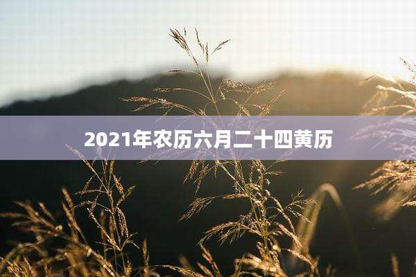 2021年农历六月二十四黄历