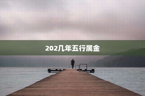 202几年五行属金