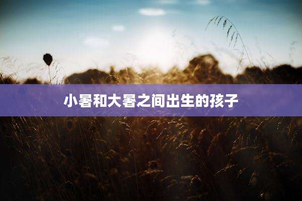 小暑和大暑之间出生的孩子