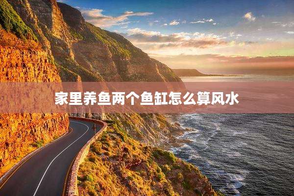 家里养鱼两个鱼缸怎么算风水