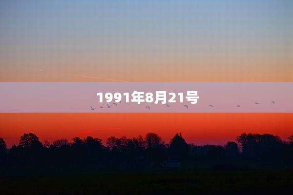 1991年8月21号
