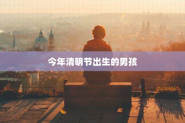 今年清明节出生的男孩