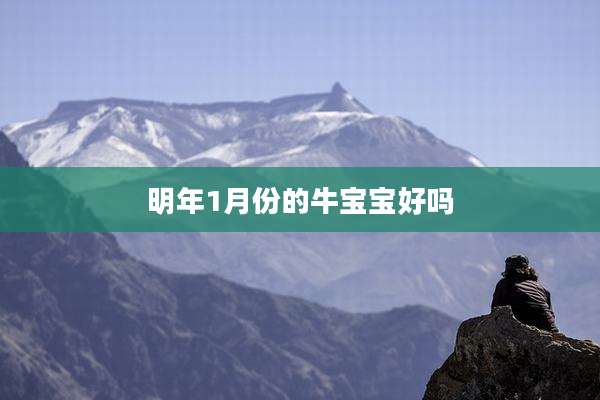 明年1月份的牛宝宝好吗