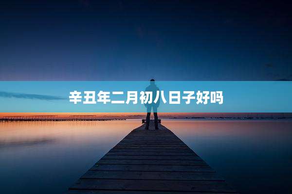 辛丑年二月初八日子好吗