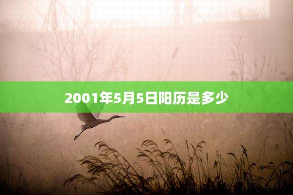 2001年5月5日阳历是多少
