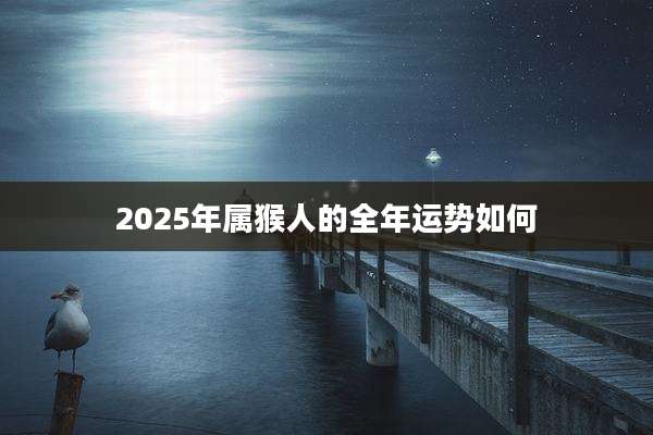 2025年属猴人的全年运势如何