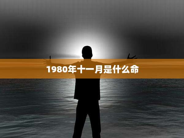 1980年十一月是什么命
