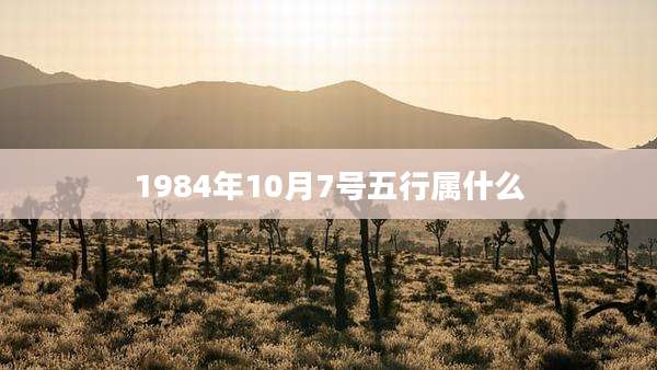 1984年10月7号五行属什么