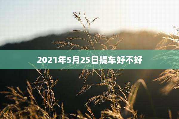 2021年5月25日提车好不好